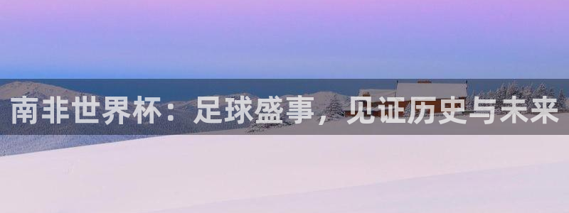 2026年世界杯对阵图：南非世界杯：足球盛事，见证历史与未来