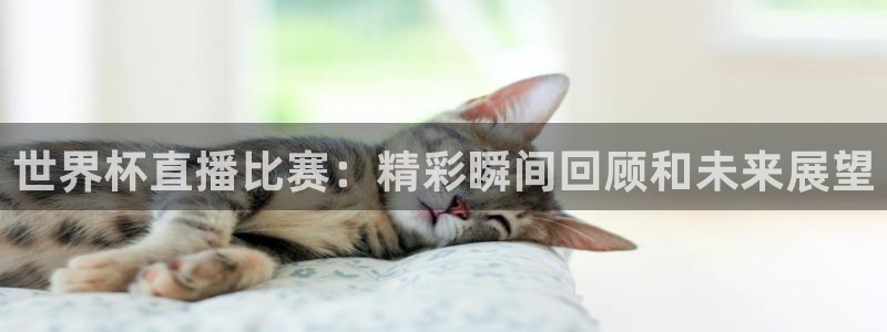 世界杯赛程时间表：世界杯直播比赛：精彩瞬间回顾和未来展望