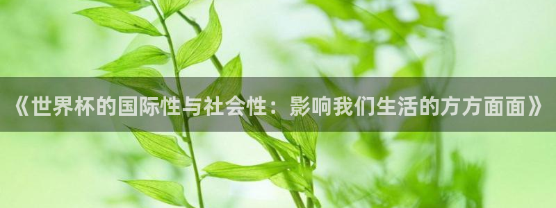 今年的世界杯：《世界杯的国际性与社会性：影响我们生活的方方面面》