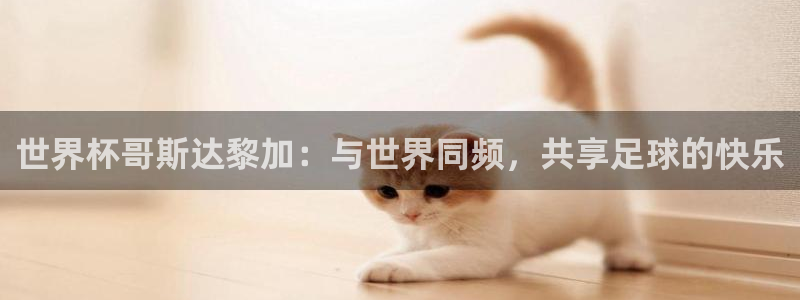 世界杯时间：世界杯哥斯达黎加：与世界同频，共享足球的快乐