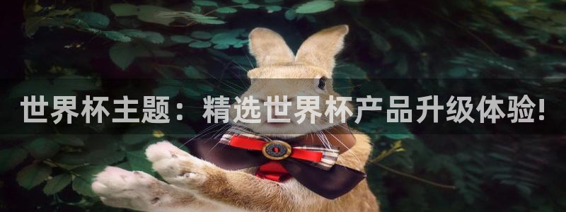 世界杯亚洲区预选赛赛程：世界杯主题：精选世界杯产品升级体验!