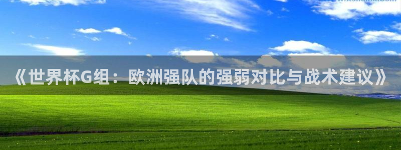 世界杯预选赛亚洲区积分榜：《世界杯G组：欧洲强队的强弱对比与战术建议》