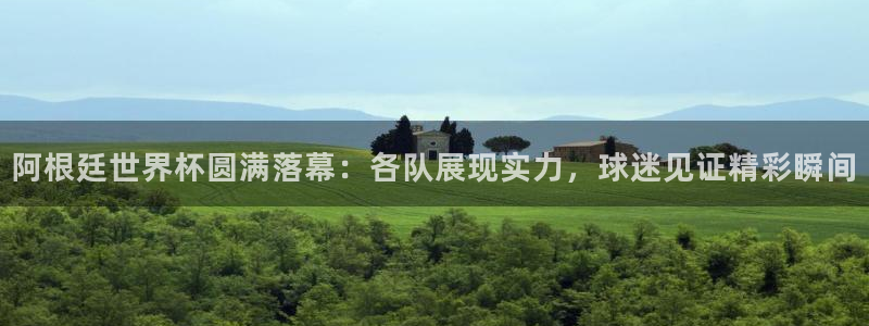 2006年世界杯：阿根廷世界杯圆满落幕：各队展现实力，球迷见证精彩瞬间