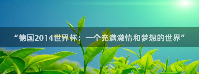 2026世界杯赛：“德国2014世界杯：一个充满激情和梦想的世界”