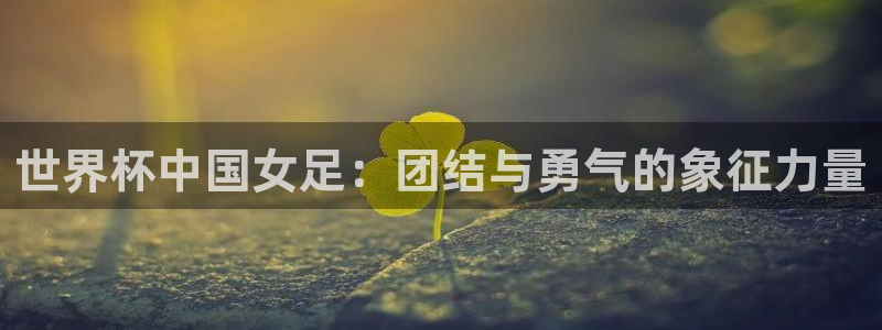 2006世界杯：世界杯中国女足：团结与勇气的象征力量