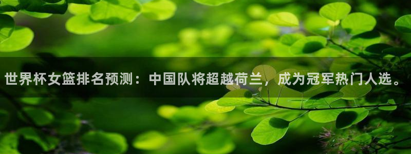 2026世界杯赛程表完整版：世界杯女篮排名预测：中国队将超越荷兰，成为冠军热门人选。