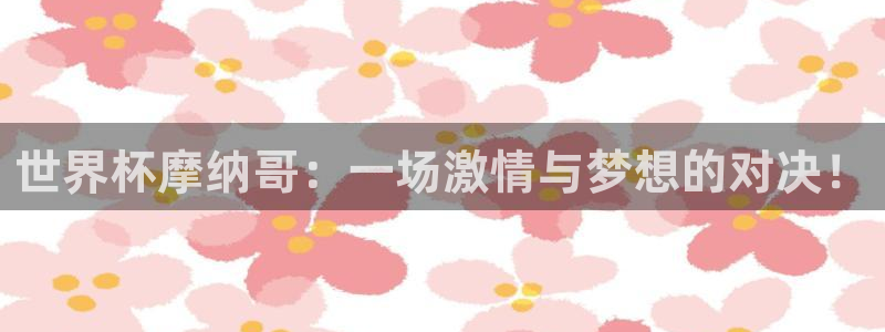 世界杯足球赛：世界杯摩纳哥：一场激情与梦想的对决！