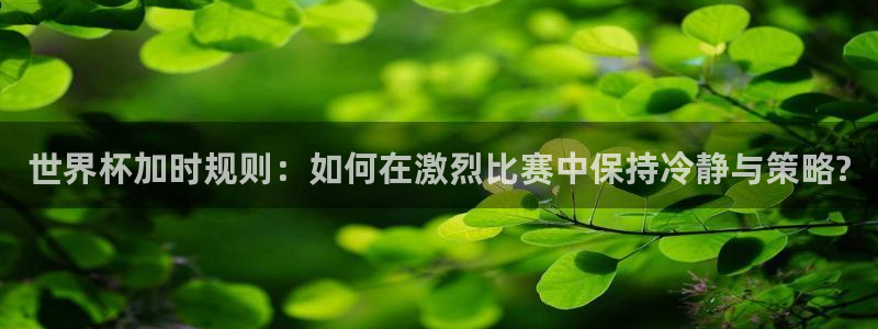 世界杯时间：世界杯加时规则：如何在激烈比赛中保持冷静与策略?